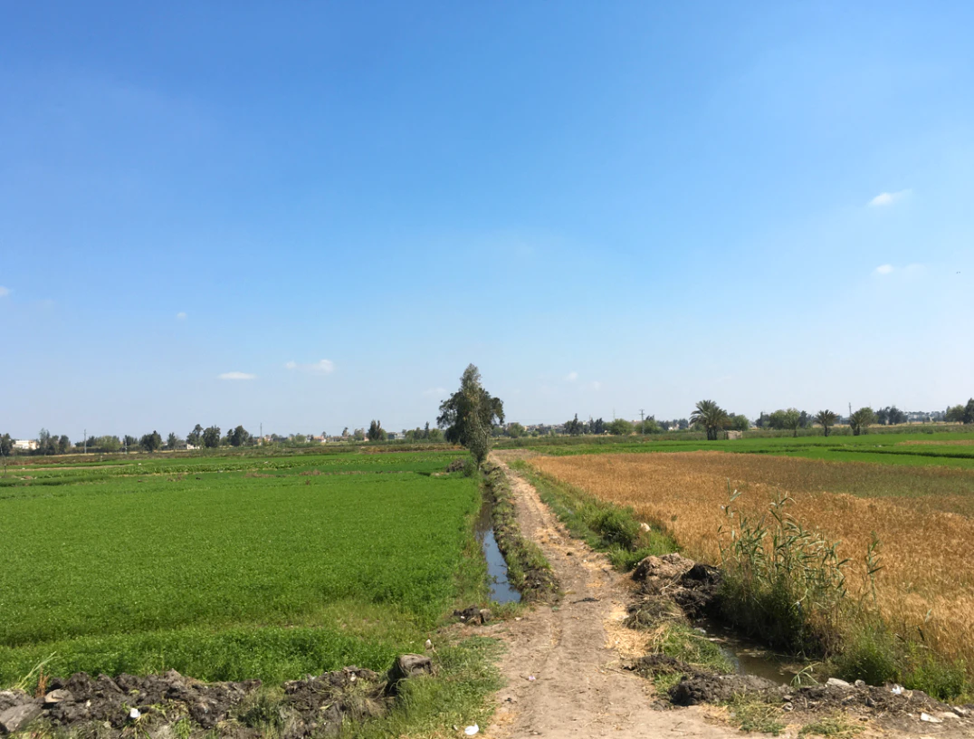 Jaikara, Madhya Pradesh 486117, India