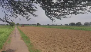 Kajrota, Uttar Pradesh, India preview 3