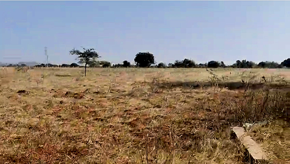 Thurakalapatnam, Andhra Pradesh 515123, India