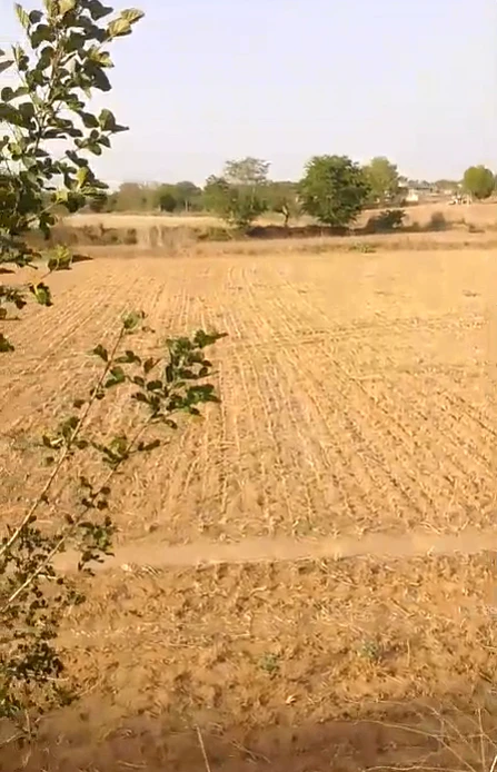 135/7, Raiseena, Haryana 122102, India