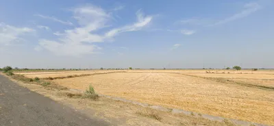 Hathin - Palwal Rd, Sector 10, Palwal, Palwalrural, Haryana 121102, India preview 3