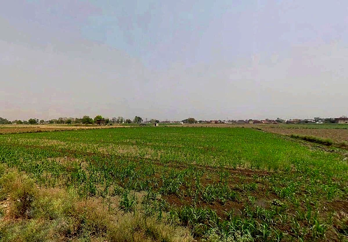 Sikandrabad, Uttar Pradesh 203205, India