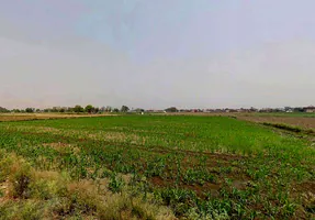 Sikandrabad, Uttar Pradesh 203205, India preview 2