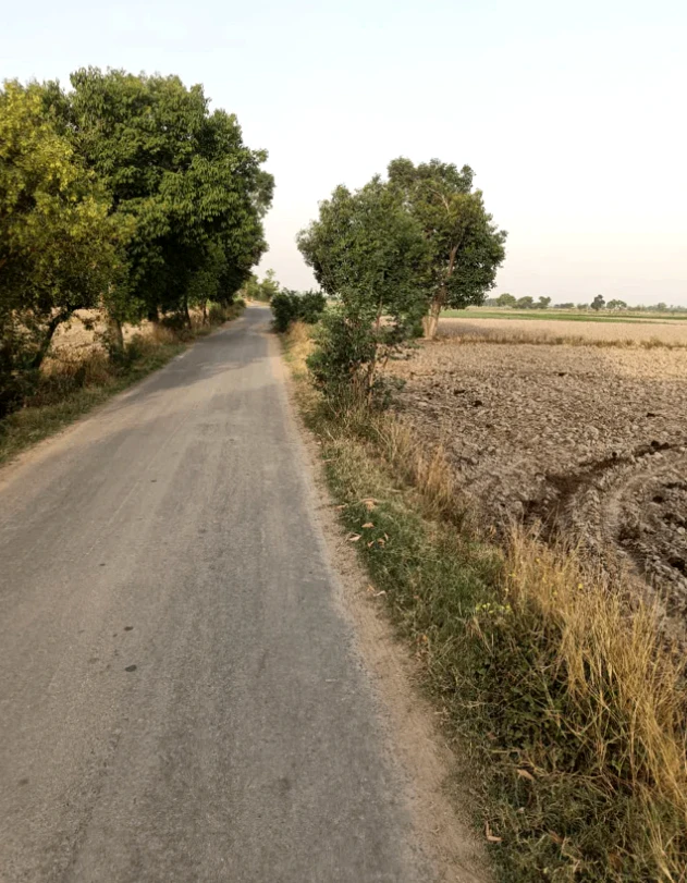 WCCV+RW Parli, Dausa, Rajasthan, India