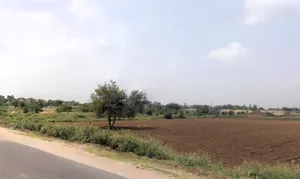 H6VG+6M, Charkhi Dadri, Haryana 127306, India preview 2