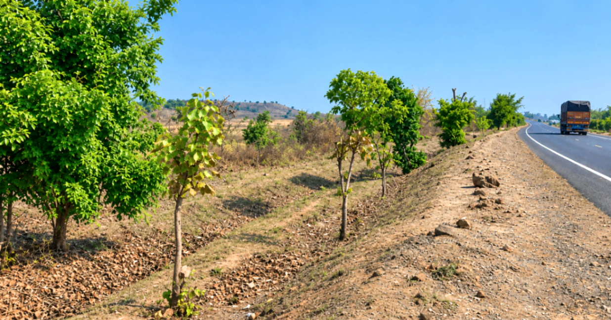Chakiya, Chandauli, Uttar Pradesh 232101, India