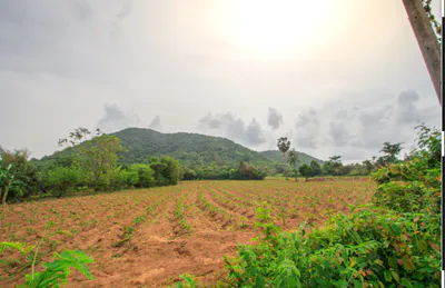 P323+MW2, Vallabhnagar, Banjari, Rajasthan 313601, India preview 2