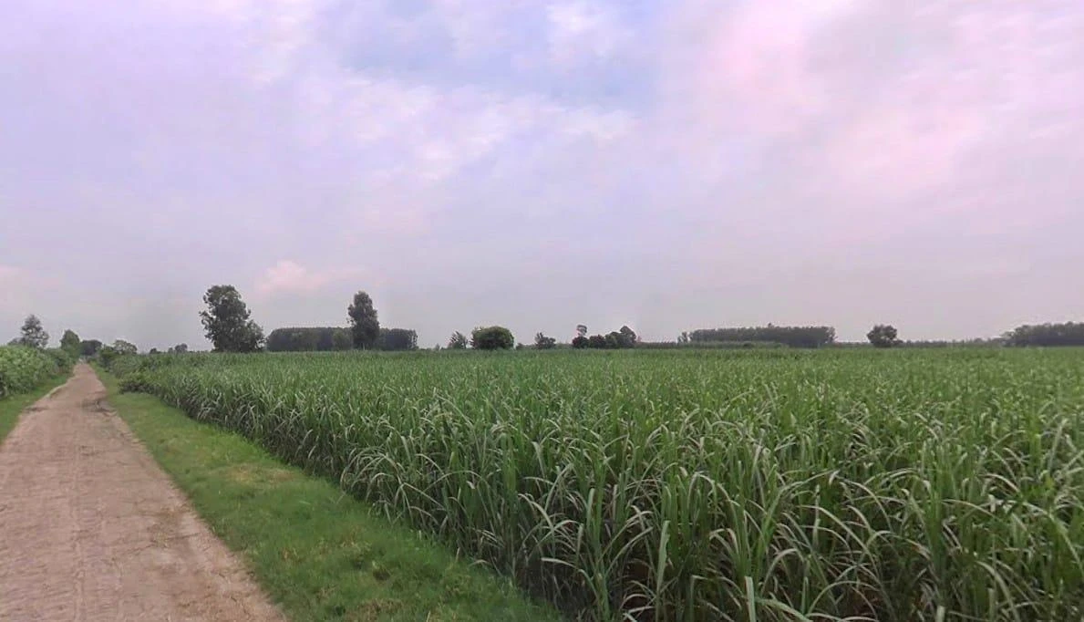 Ghatayan Uttri, Uttar Pradesh, India