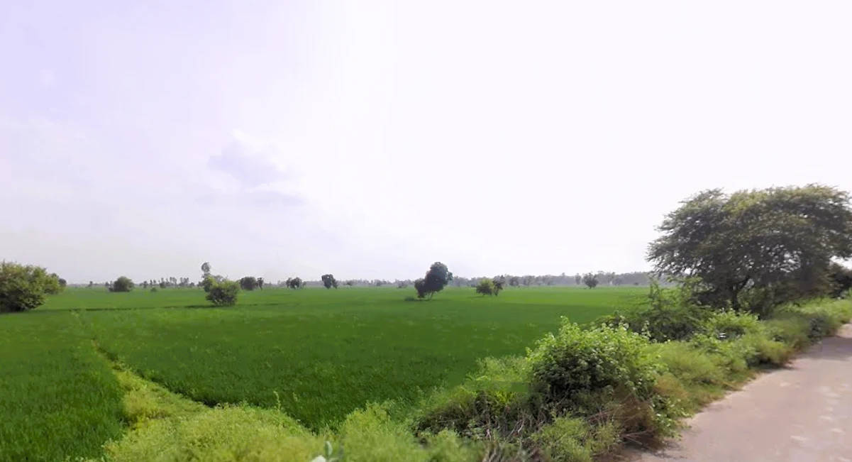 Kohla, Haryana 131302, India