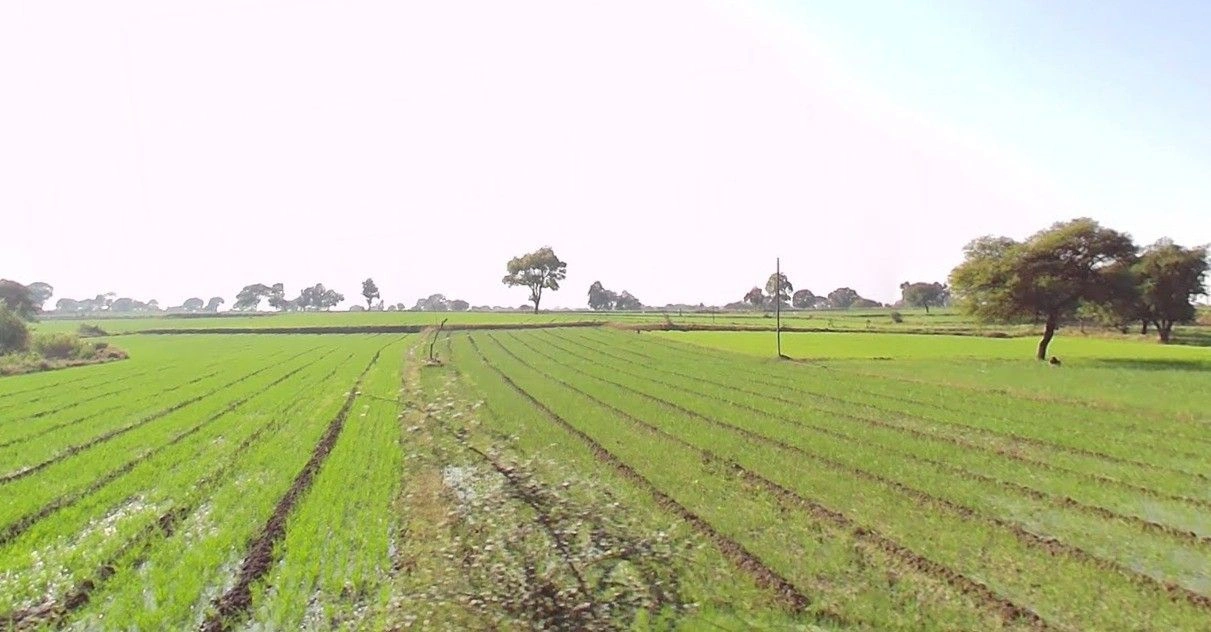 Chirula, Madhya Pradesh, India