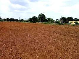 X75P+32Q, Mannur, Karnataka 581205, India preview 3