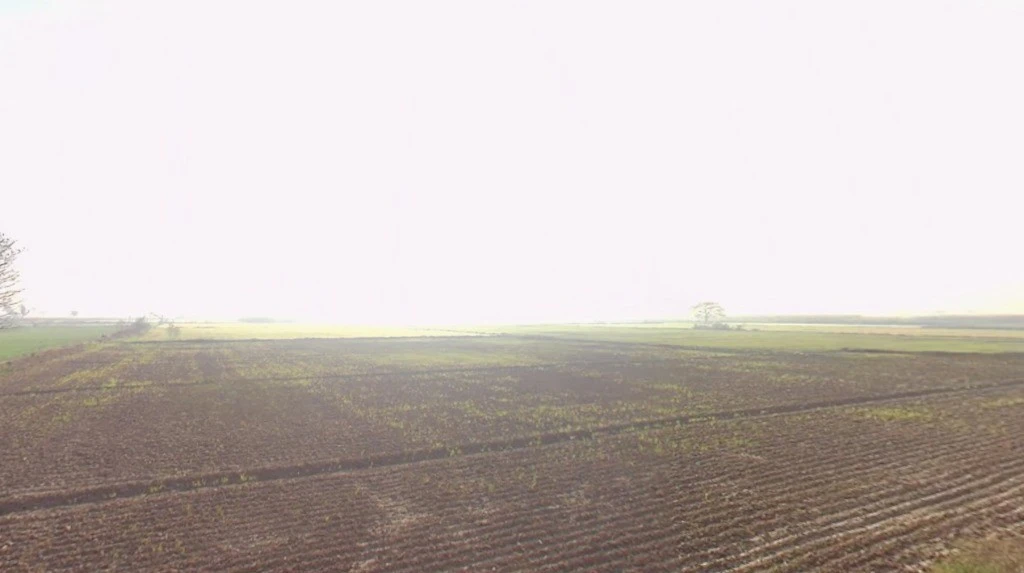 Gijarod, Haryana 124103, India