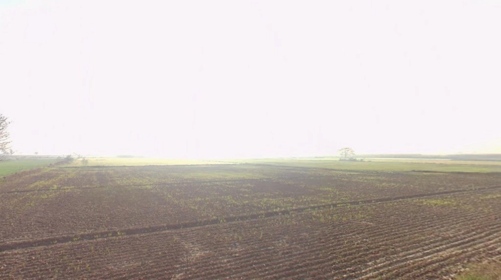 Gijarod, Haryana 124103, India