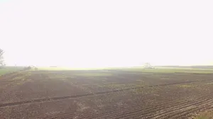 Gijarod, Haryana 124103, India preview 2