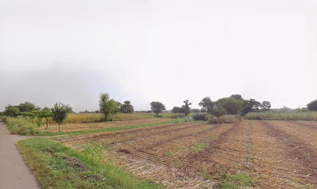 Dahina, Haryana 123411, India