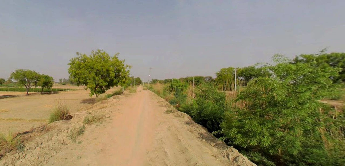 Barnagar, Madhya Pradesh 456771, India