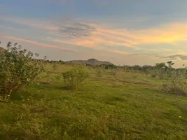 XX93+R8 Tangedukunta, Andhra Pradesh, India preview 4