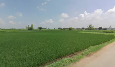 Bela, Punjab 140111, India preview 2