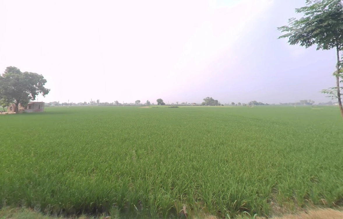 Mullanpur, Punjab 148023, India