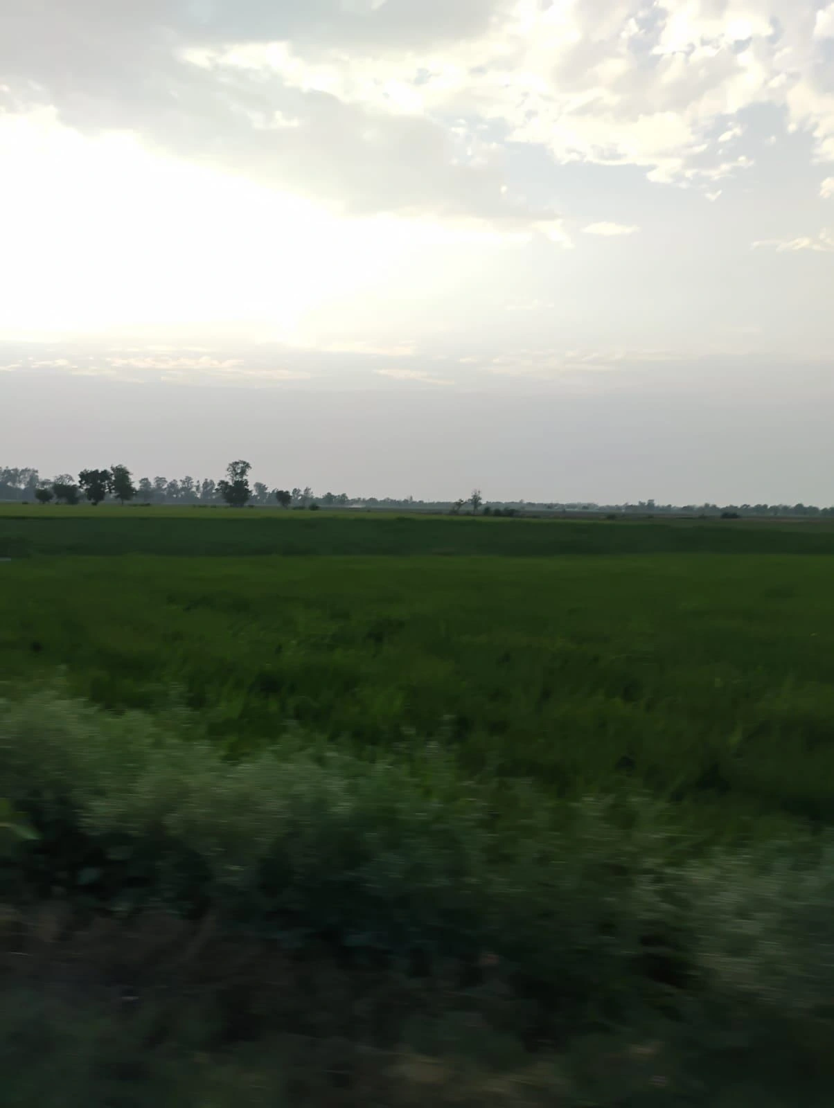 Bishambhara, Uttar Pradesh 281404, India preview 3