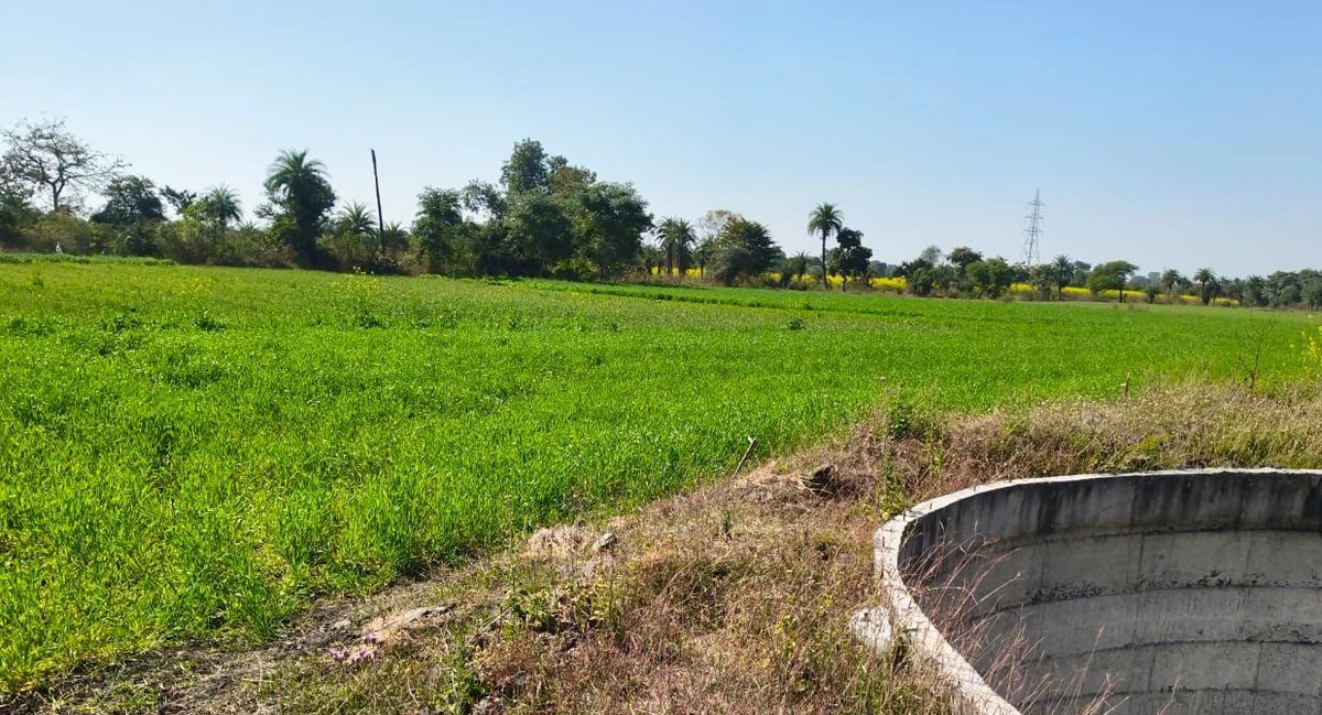 Suthaliya, Madhya Pradesh 465677, India