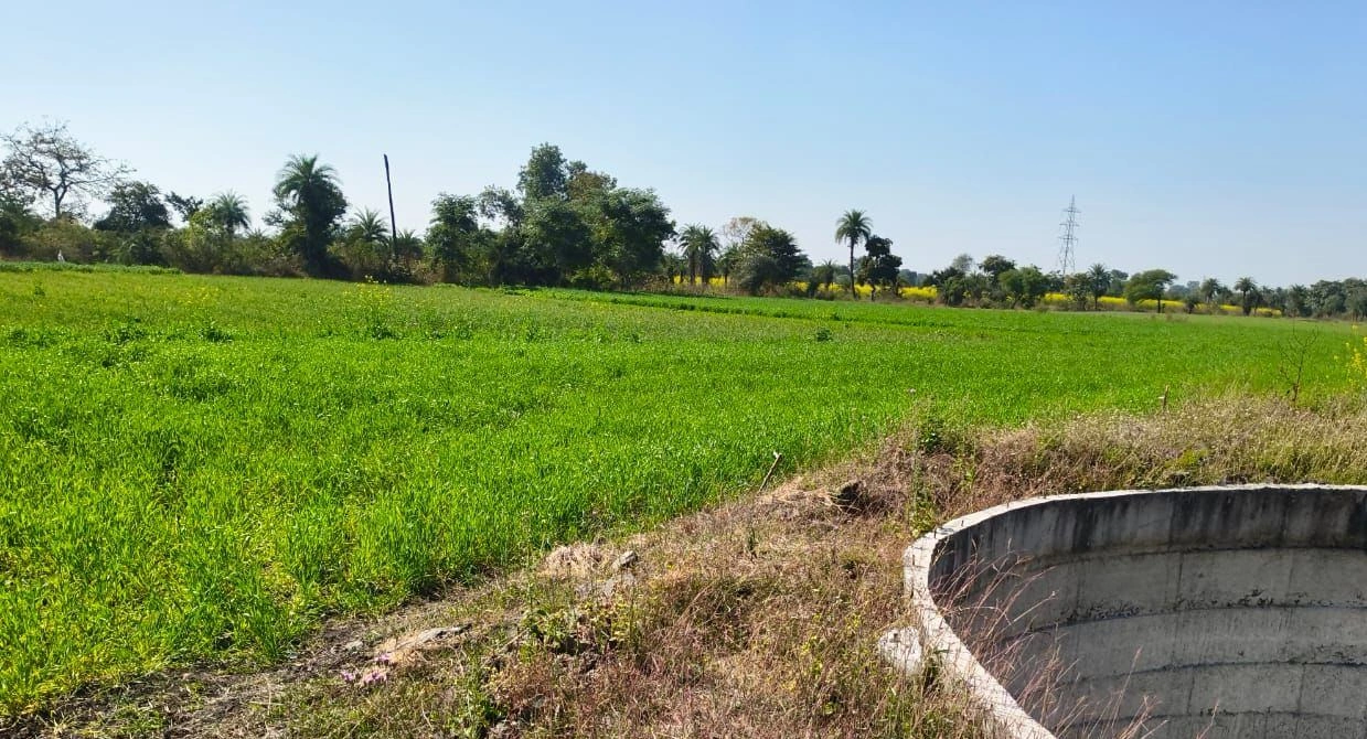 Suthaliya, Madhya Pradesh 465677, India