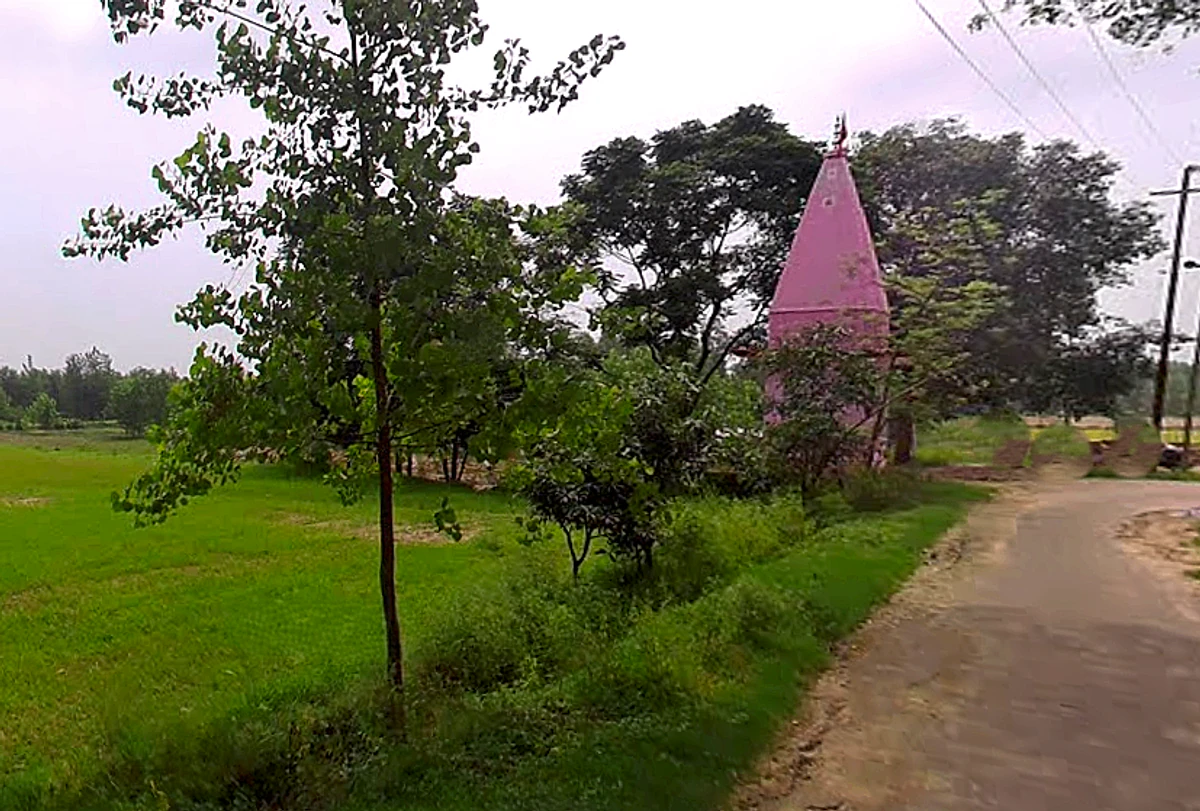 Salampur Gadda, Uttar Pradesh 247001, India