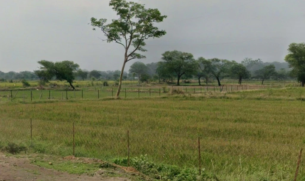 Birkona, Chhattisgarh, India