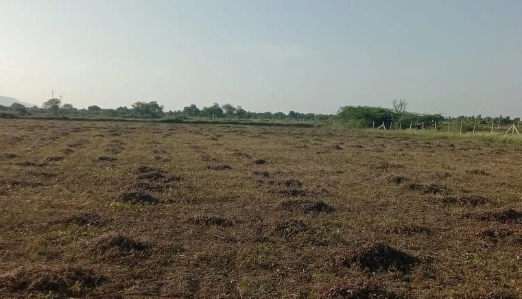Ranjeetpura, Bikaner, Rajasthan 334305, India