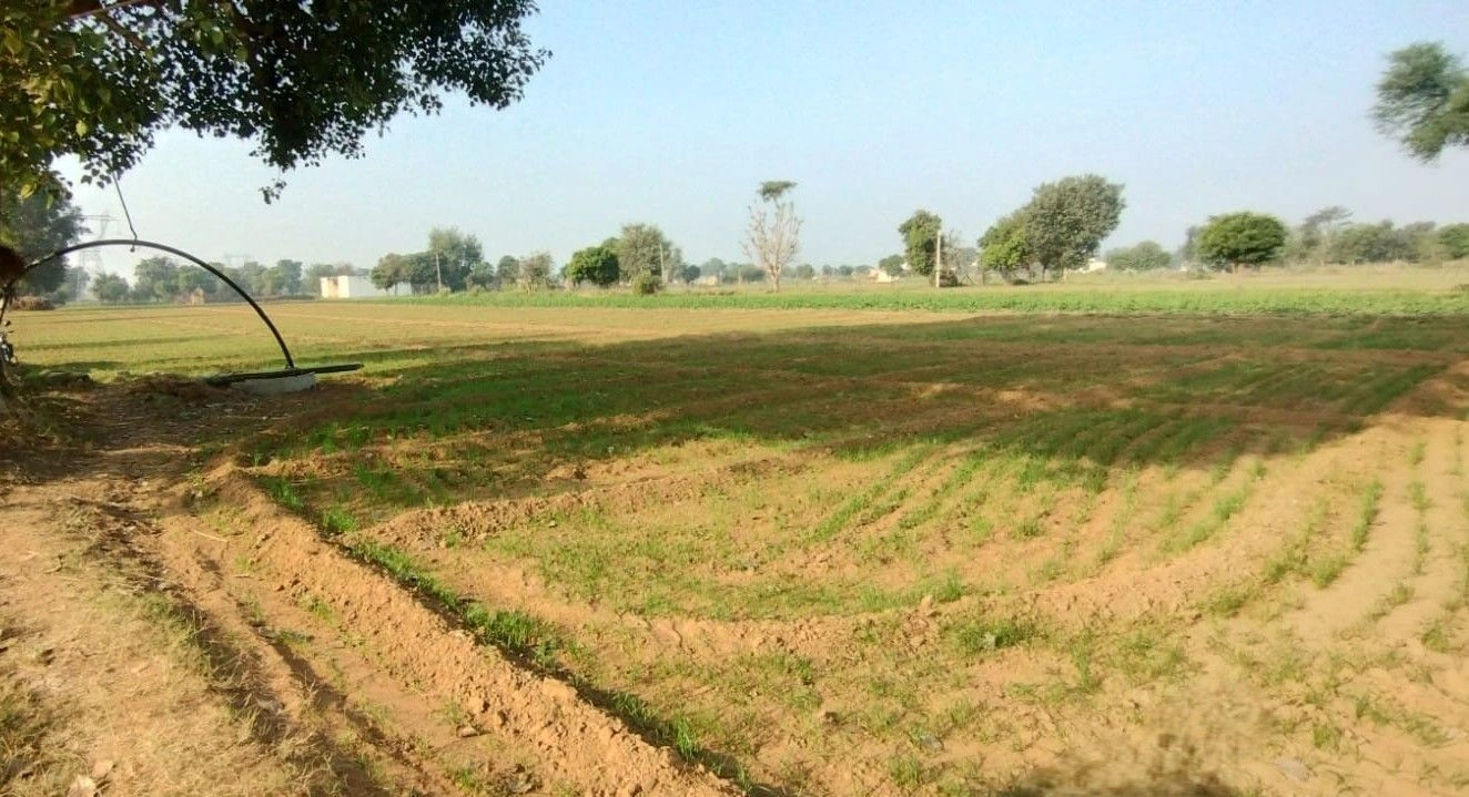Untwal, Rajasthan 301028, India