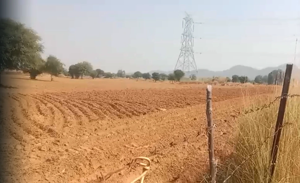 WXH6+G7 Bamanwasnau, Mahendragarh, Haryana, India - Photo 2