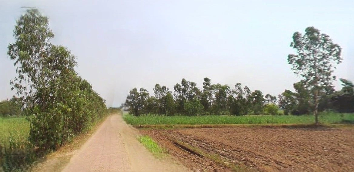 Ramnagar, Uttarakhand 244715, India preview 3