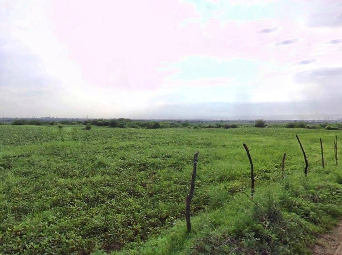 MJGV+W5W, Harsooliya, Rajasthan 303904, India