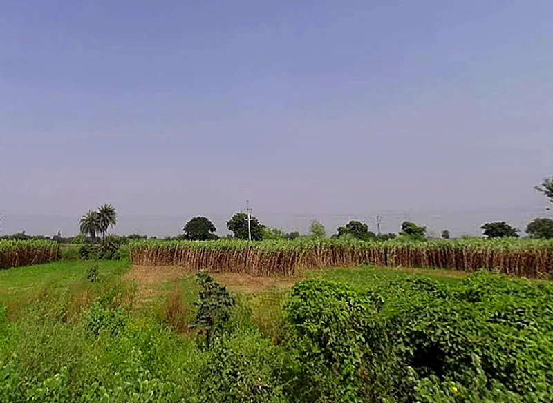 Khodna Khurd, Greater Noida, Uttar Pradesh, India preview 3