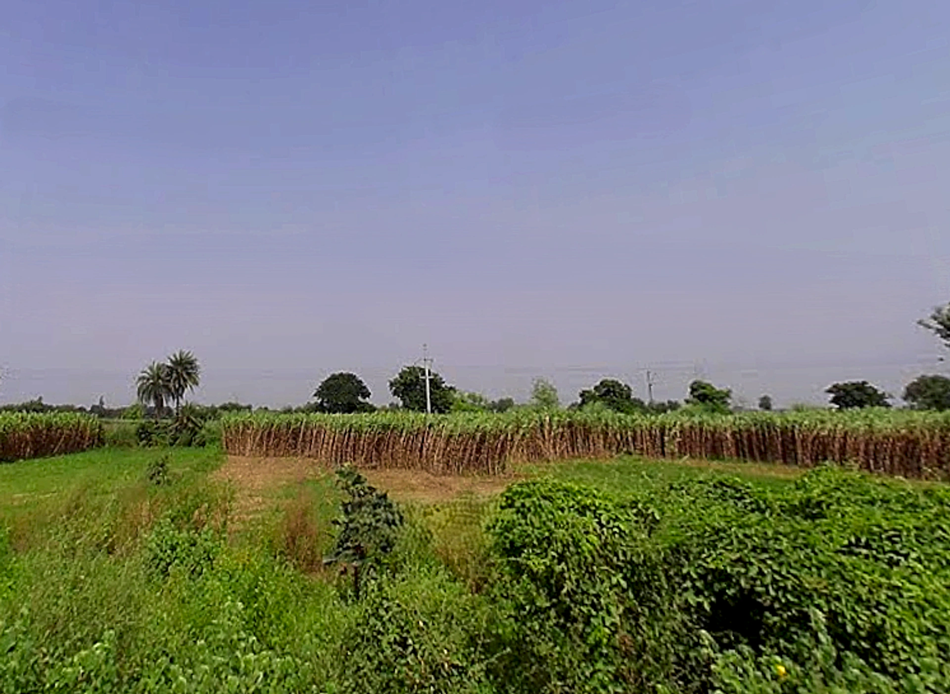 Khodna Khurd, Greater Noida, Uttar Pradesh, India