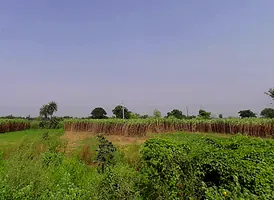 Khodna Khurd, Greater Noida, Uttar Pradesh, India preview 3