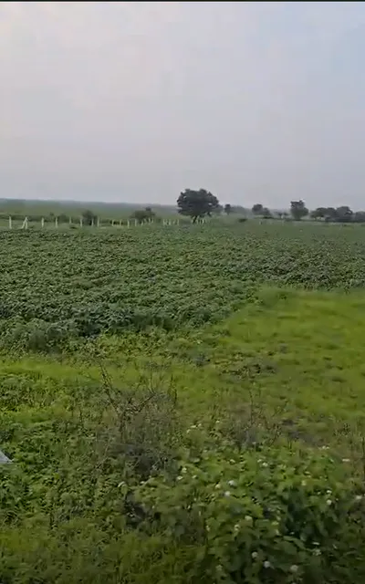 Asawati, Ratlam, Madhya Pradesh 457336, India preview 3