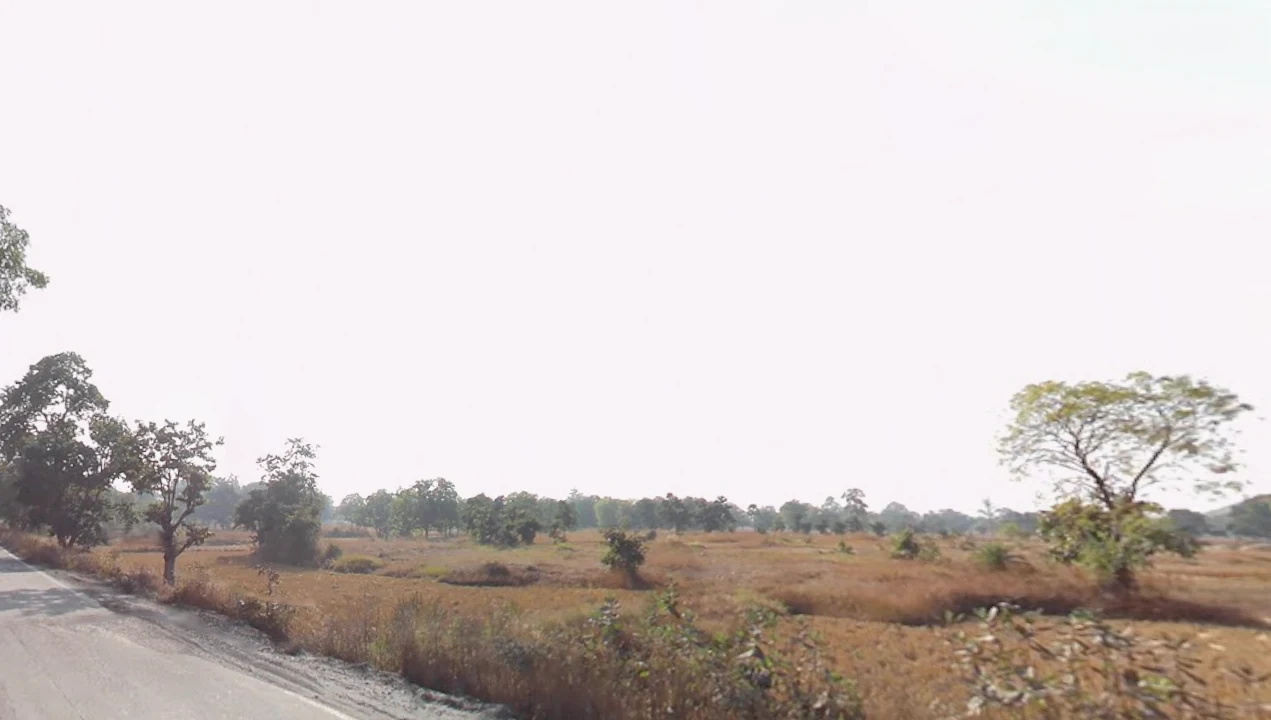 Hemgir, Odisha 770013, India