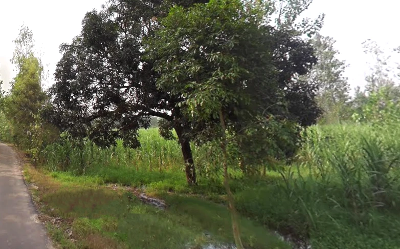 Behat, Uttar Pradesh 247121, India