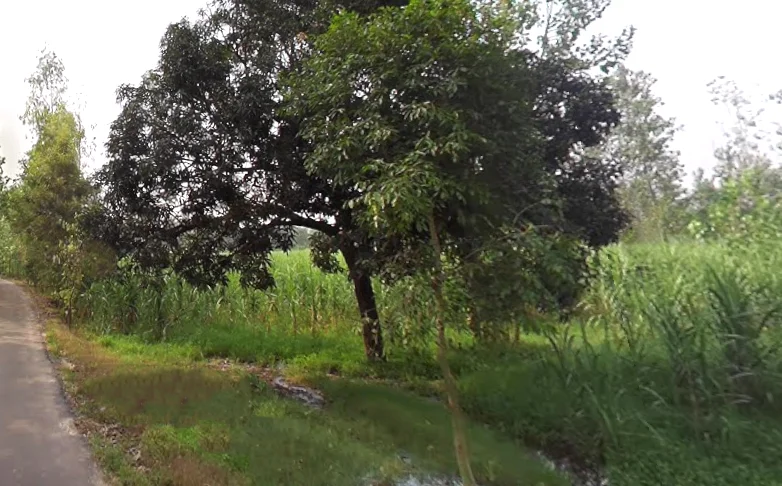 Behat, Uttar Pradesh 247121, India preview 3