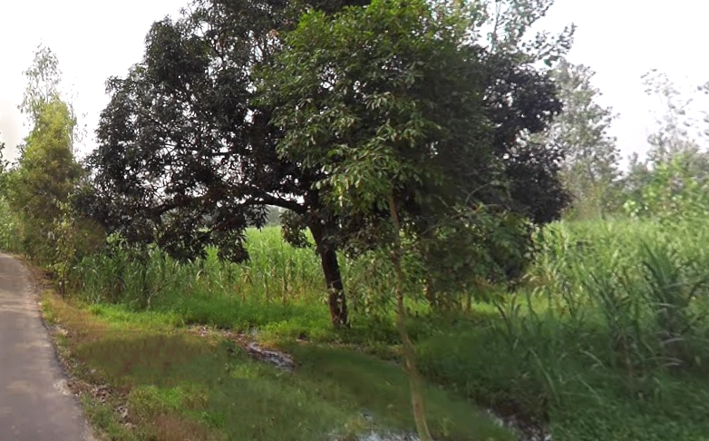 Behat, Uttar Pradesh 247121, India