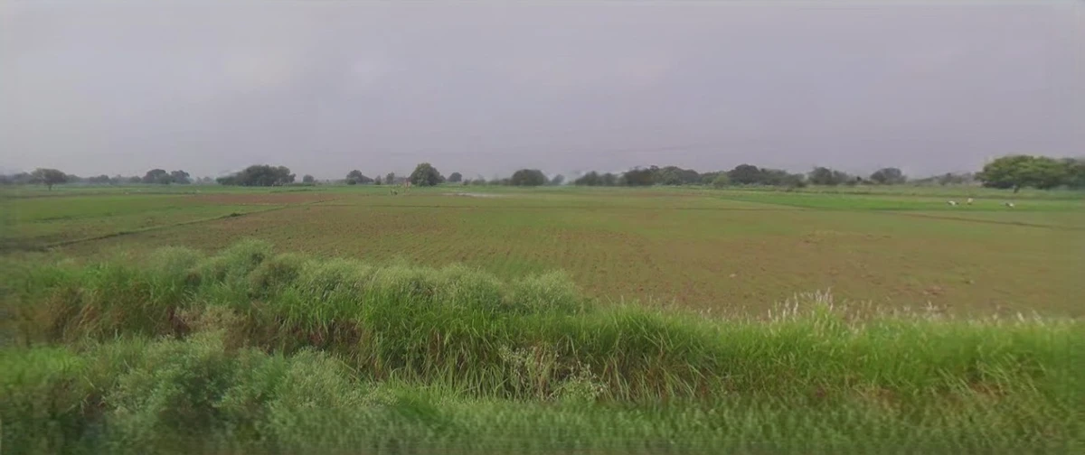 Saharanpur, Uttar Pradesh, India