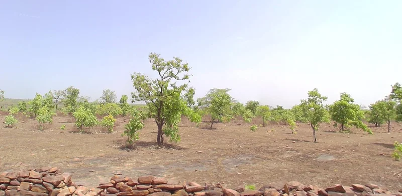 Manasa, Madhya Pradesh 458110, India preview 3