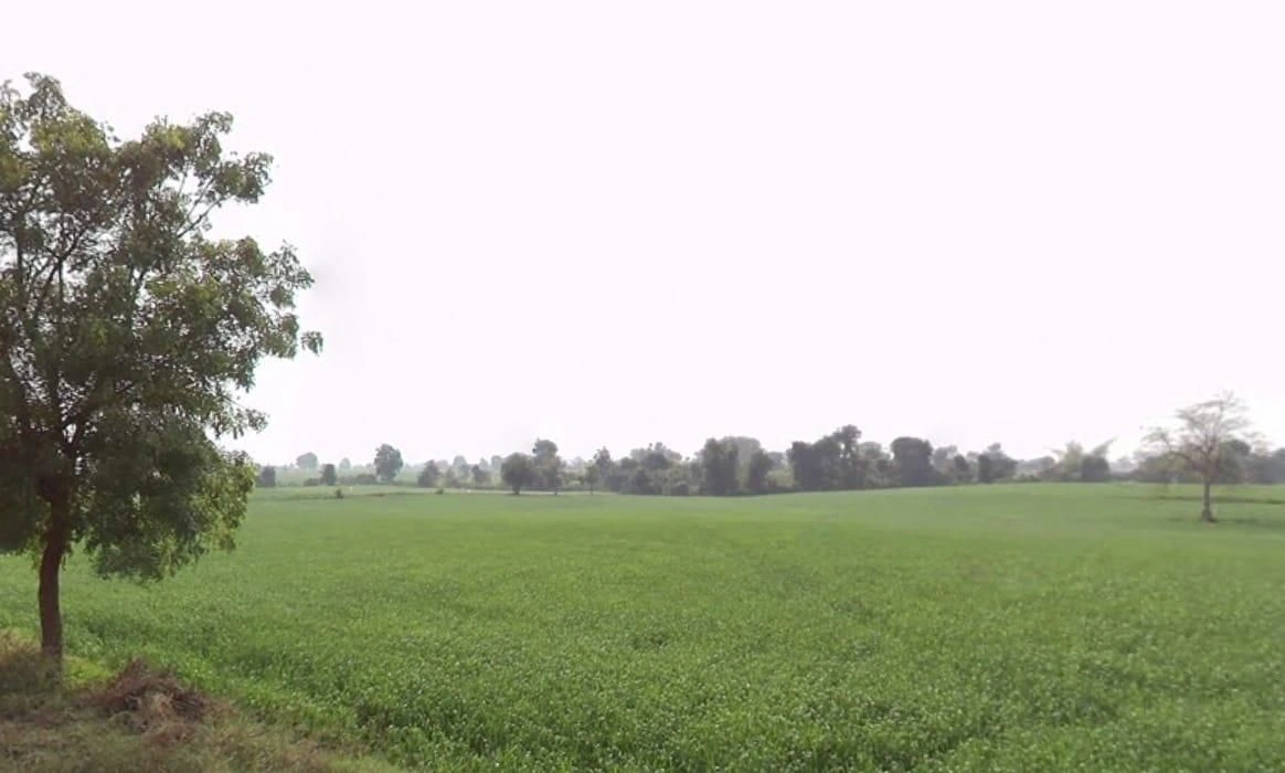 Khategaon, Madhya Pradesh 455336, India