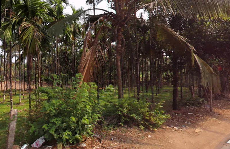 Belthangady, Karnataka 574214, India preview 3