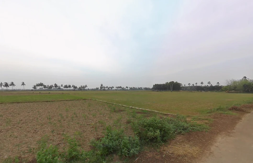 Chandanpur, Odisha 752012, India preview 2
