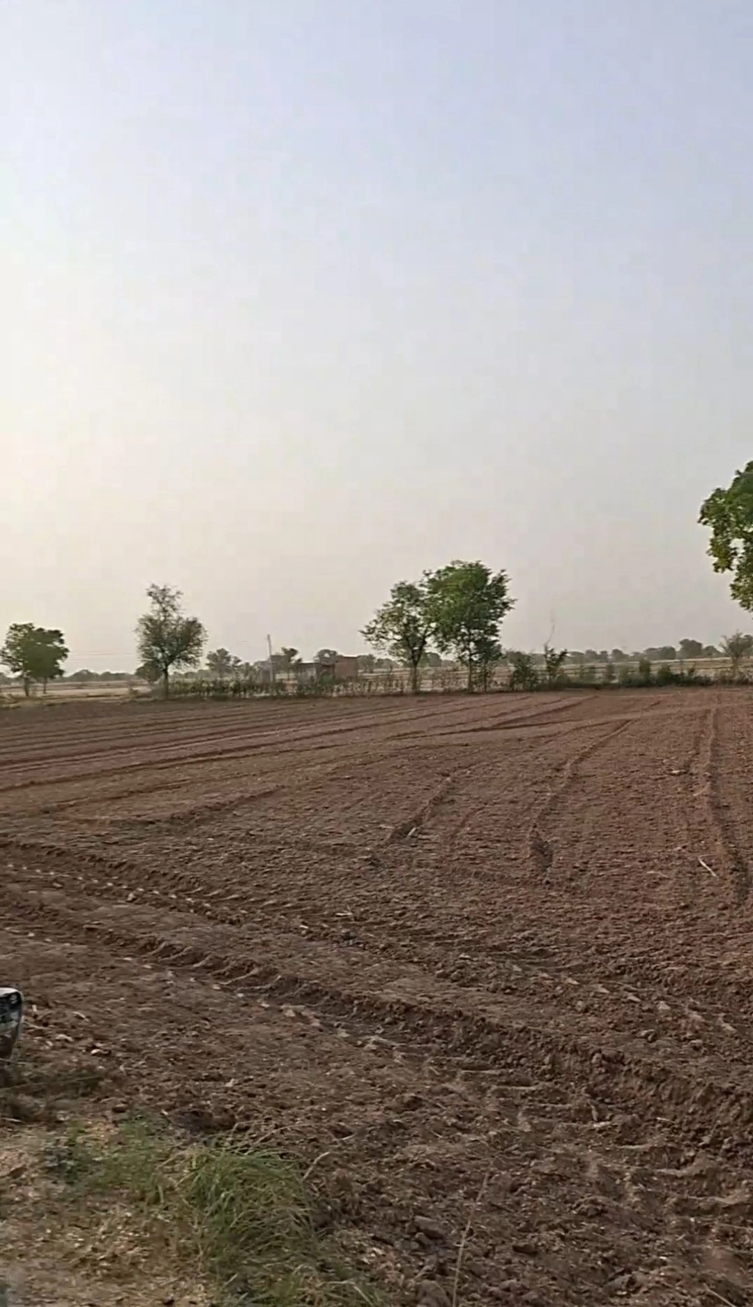 Pantawas Khurd, Dadri, Charkhi Dadri, Haryana, India preview 4