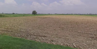 Amberpur, Uttar Pradesh 244921, India preview 3