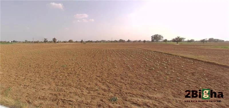 Rajgarh, Rajasthan 301408, India