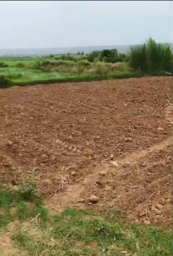 Majri Kalan, Kotputli-Behror, Rajasthan 301703, India preview 3